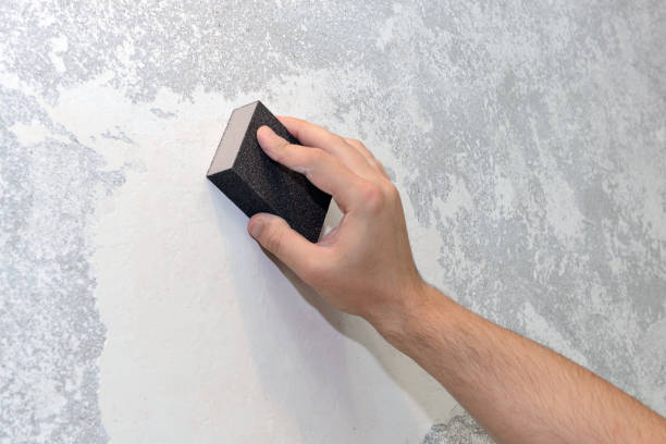 Best Mold Remediation for Healthcare Facilities  in Arthur, IL