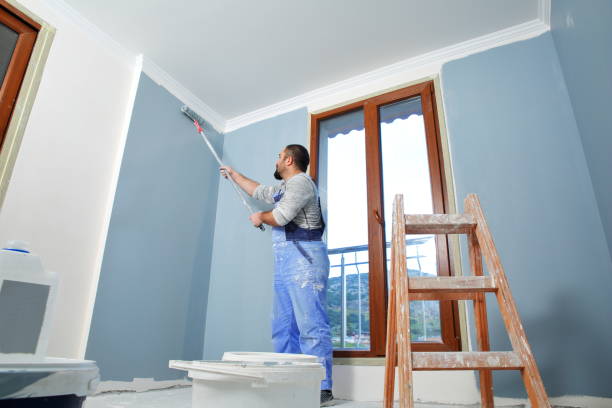 Best Black Mold Removal  in Arthur, IL