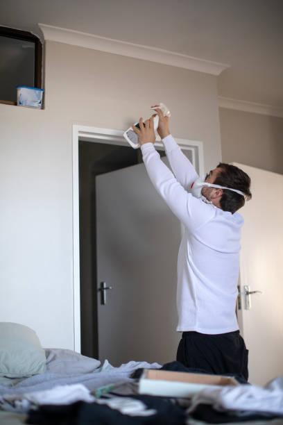 Best Mold Prevention Services  in Arthur, IL