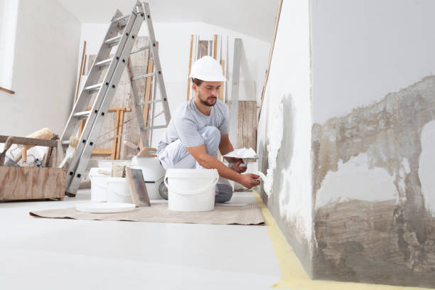 Best Asbestos and Lead Testing During Mold Inspection  in Arthur, IL