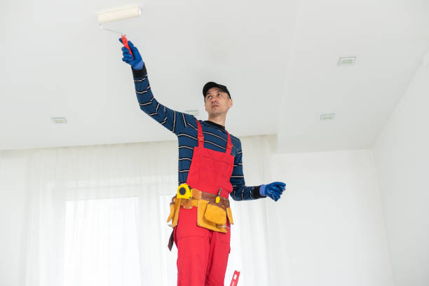Best Crawl Space Mold Remediation  in Arthur, IL