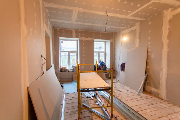 Trusted Arthur, IL Mold Removal Experts