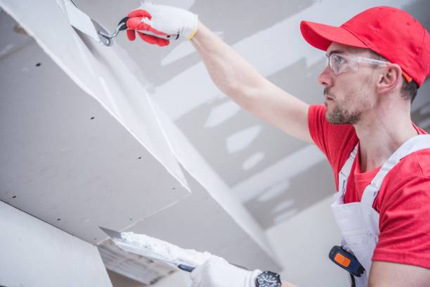 Best Mold Removal for HVAC Installations  in Arthur, IL